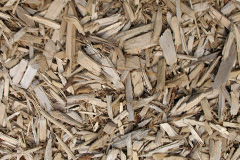 biomass boilers Kenyon